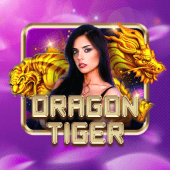 Dragon Tiger phdream apk live